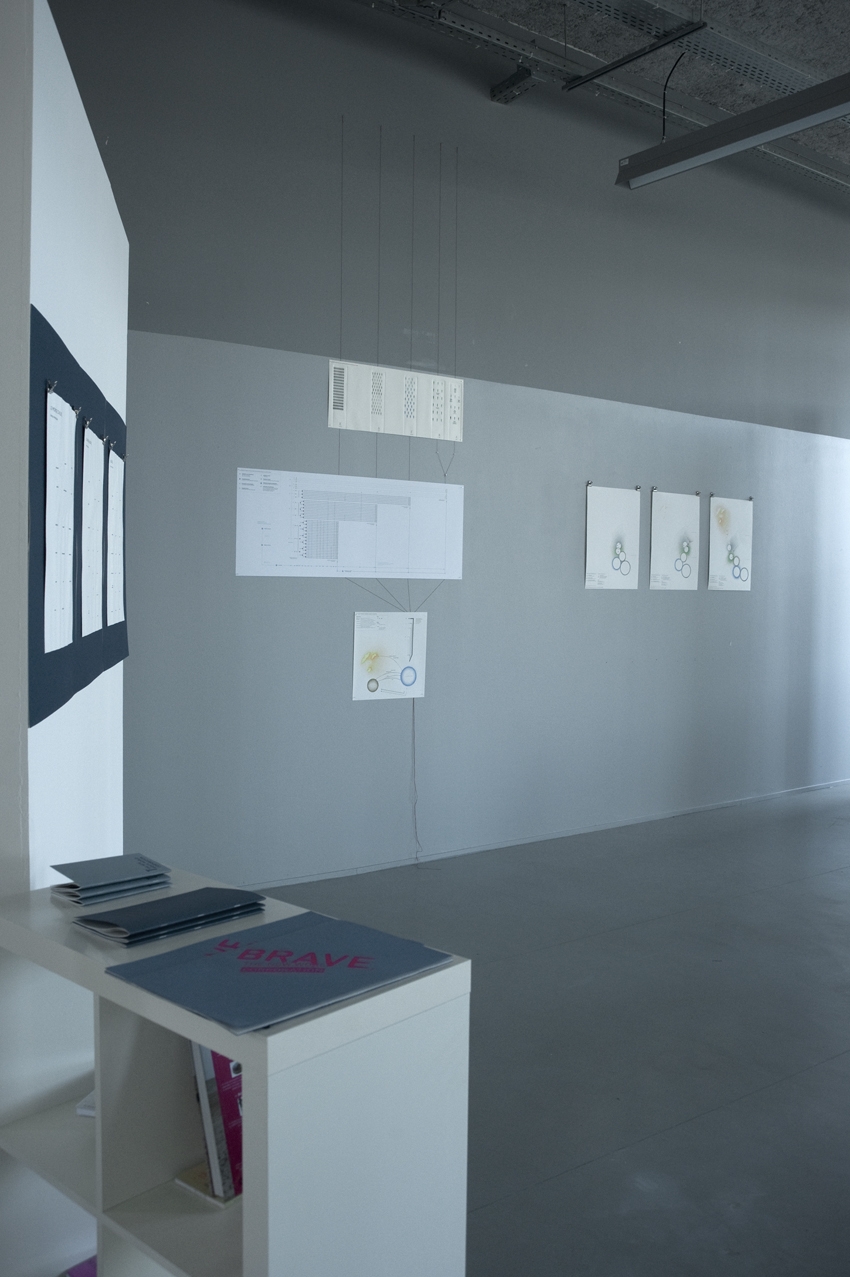 Laure Cécile Lafont-Fenonjoie, DNSEP Design, 2012