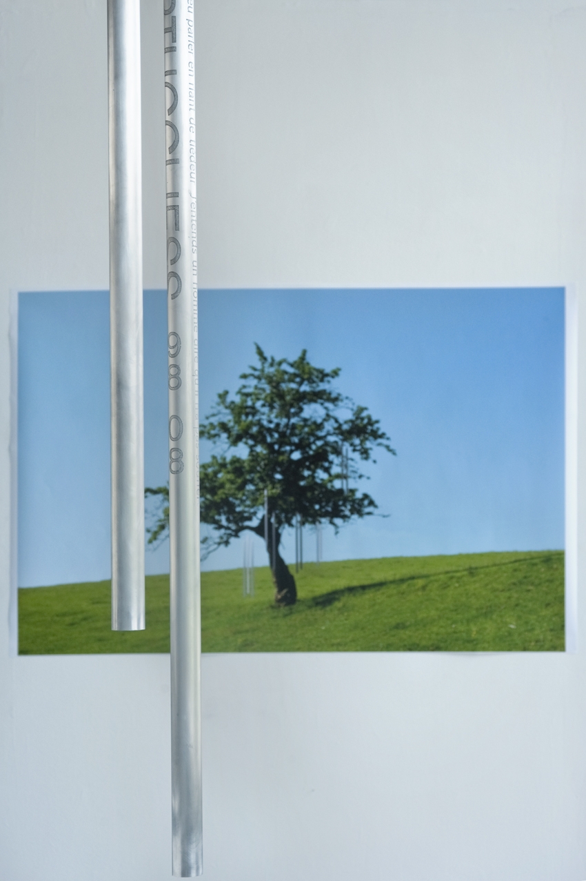 Jess Martucci, DNSEP Design, 2012