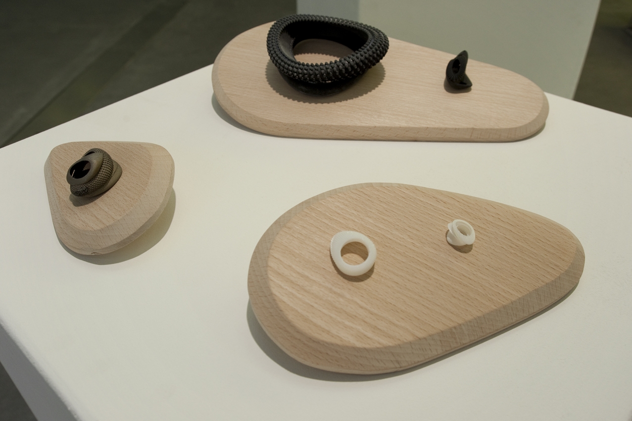 Lucile Schrenzel, DNSEP Design, 2012