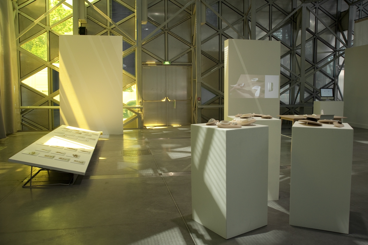 Lucile Schrenzel, DNSEP Design, 2012