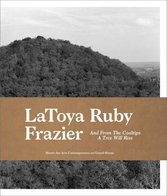 LaToya Ruby Frazier : et des terrils un arbre s'élèvera, textes de Jean Denis Gielen, Jean-Marc Prévost, Joanna Leroy, Musée des arts contemporains, 2017.